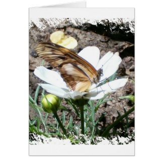 Cartão Butterly na flor