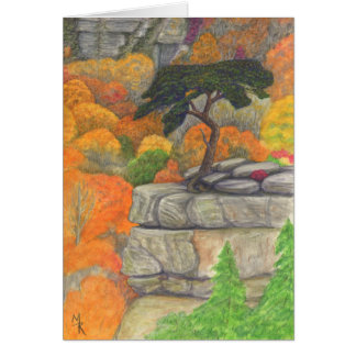 Cartão Buzzard's Roost - Fall Creek Falls State Park