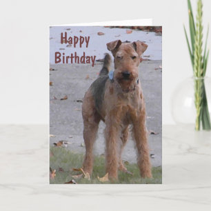 Cartão BV- Cute Airedale Birthday Card