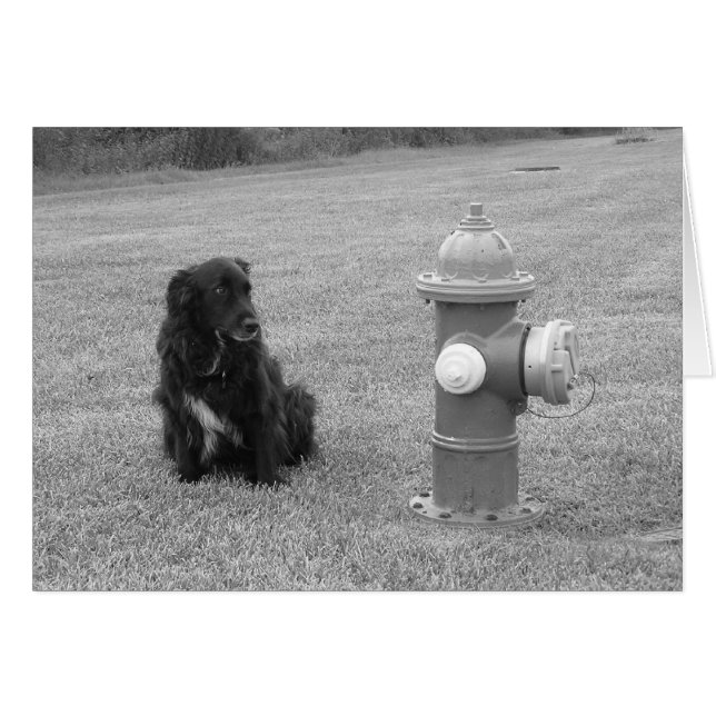 Cartão bw_sua_volta (Frente Horizontal)