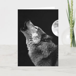 Cartão BW Wolf Howling na Lua
