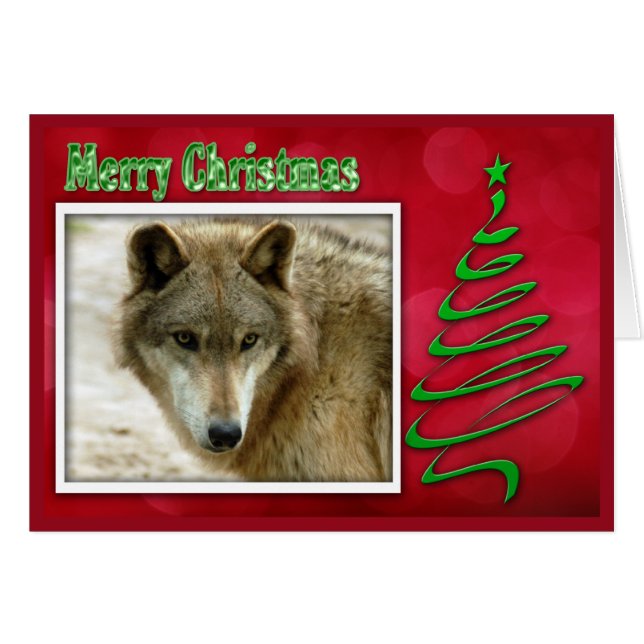 Cartão c-2011-cinza-lobo-048 (Frente Horizontal)