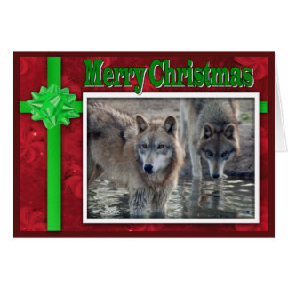 Cartão c-2011-cinza-lobo-053