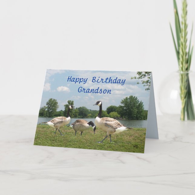 Cartão C. Geese-customize any occasion (Frente)