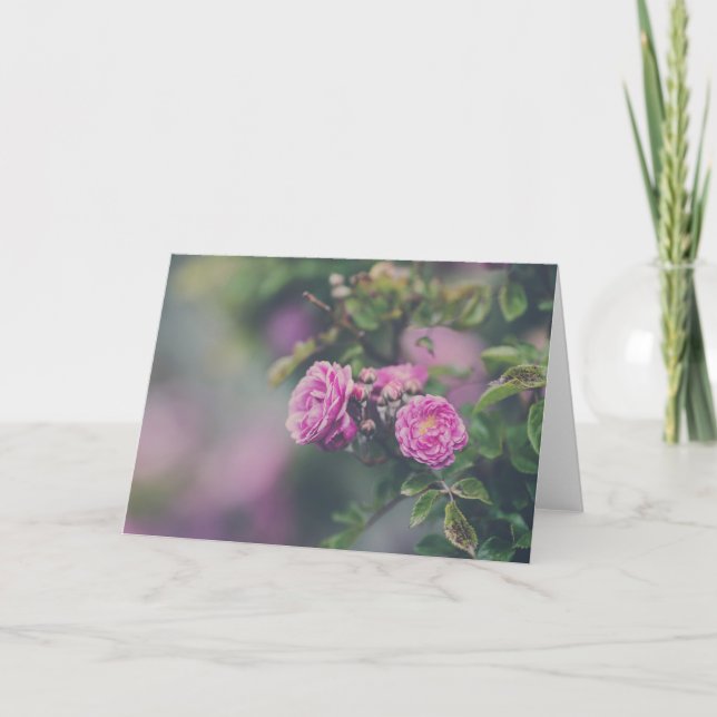 Cartão Cabbage Roses (Frente)