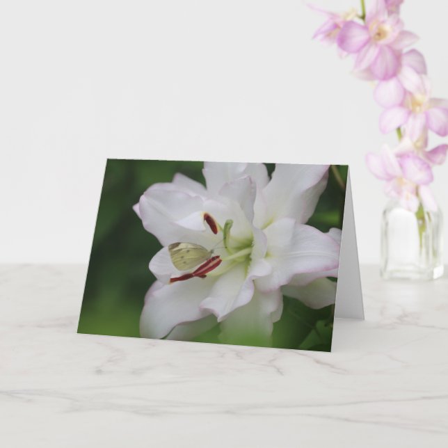 Cartão Cabbage White Butterfly on Lily Photo Blank Card (Orquídea)