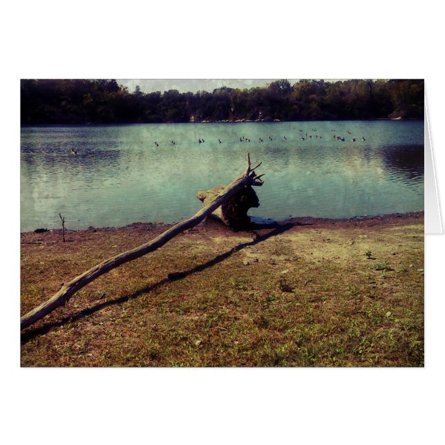 Cartão Cabeça (Frente Horizontal)