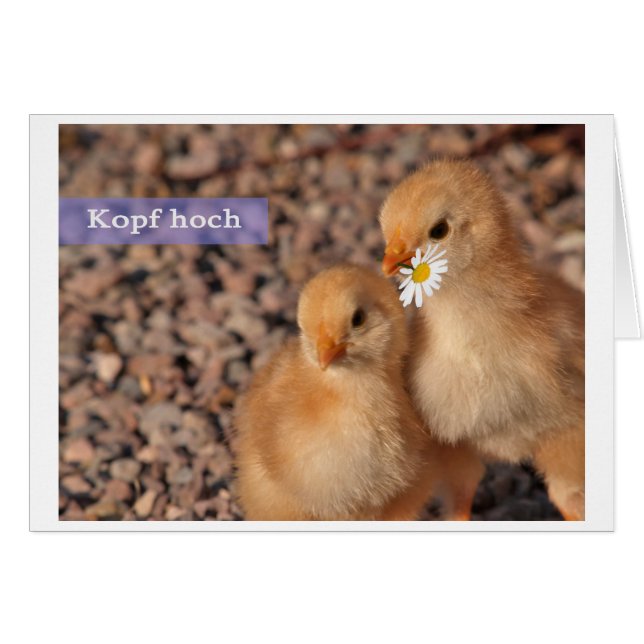 Cartão Cabeça alto (Frente Horizontal)