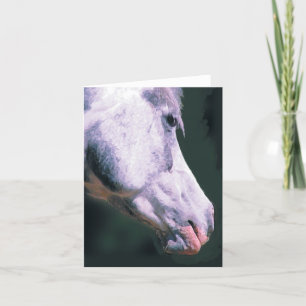 Cartão Cabeça Árabe 'Bonito Menino'