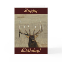 Cabeça de Alce Touro E29