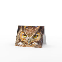 Cabeça de Coruja - Olhos (Coruja Excelente Coroa C