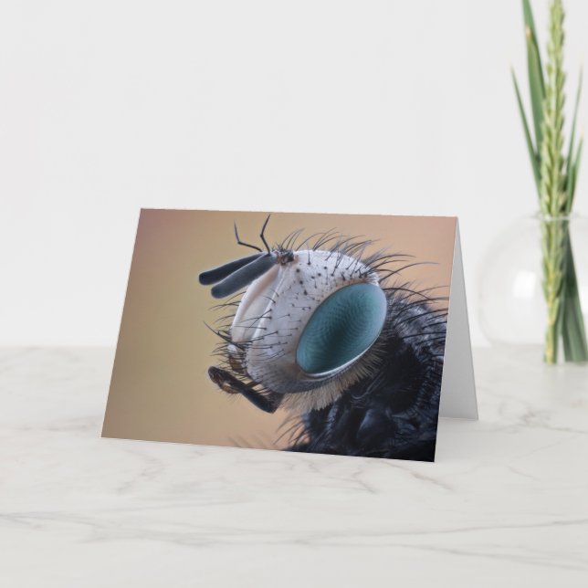 Cartão Cabeça de Inseto de Insetos de Fechamento (Frente)