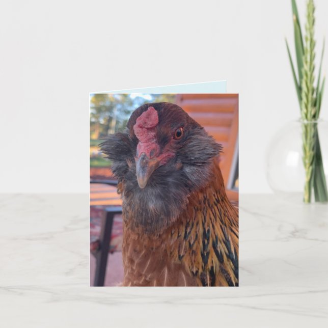 Cartão Cabeça Engraçada de Frango Barbudo Close-Up (Frente)
