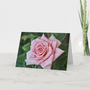 Cartão Cabeças da Placa de Escritura Rosa Rosa Rosa bonit