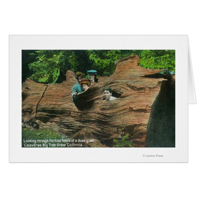 Cartão Cabeças expostas em nós de Sequoias Vermelhas Giga (Frente Horizontal)