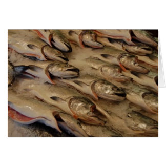 Cartão cabeças salmon