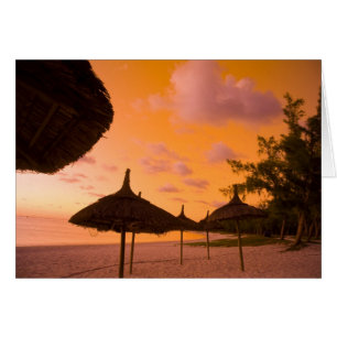 Cartão cabines de praia estilo Palapa ao nascer do sol, B