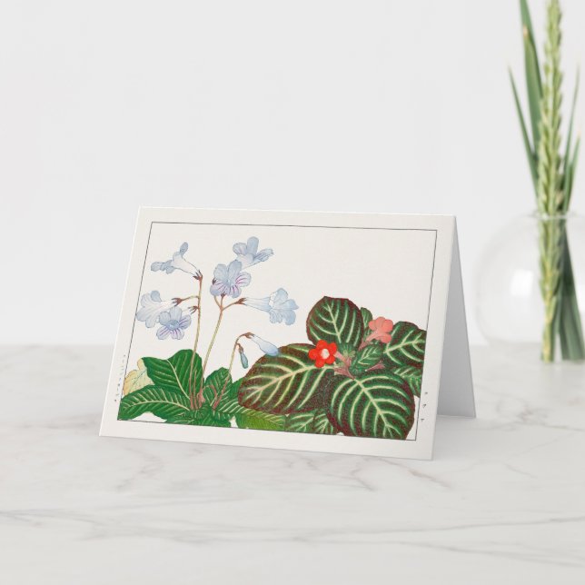 Cartão Cabo primrose, violeta Flame de Tanigami Konan (Frente)