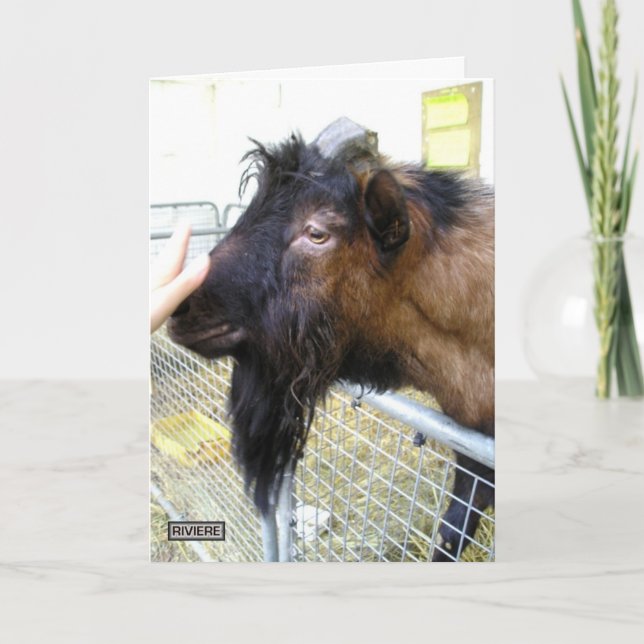 Cartão Cabra Amigável (Frente)
