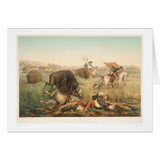 Cartão Caça do bisonte (0008A)