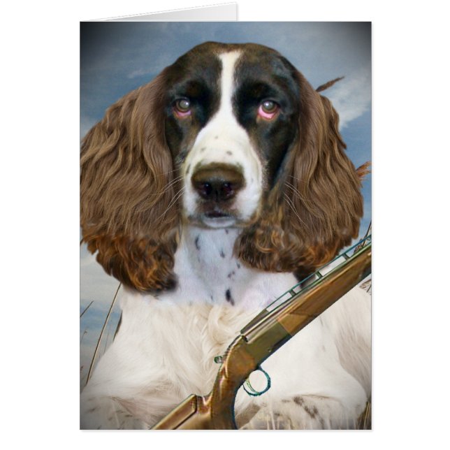 Cartão Caças do Spaniel de Springer inglês (Frente)