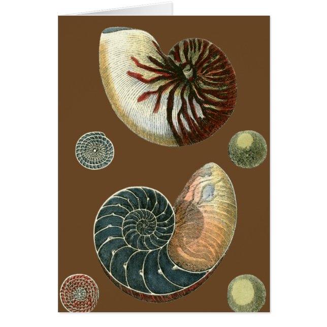 Cartão Cacau (Frente)