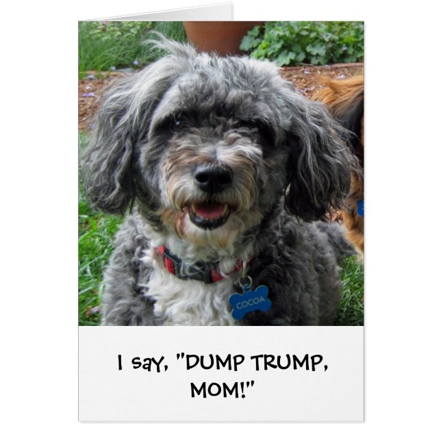 Cartão Cacau! (Frente)