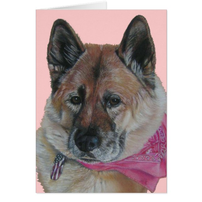 Cartão cachecol rosa akita usa bandeira vazio retrato de  (Frente)