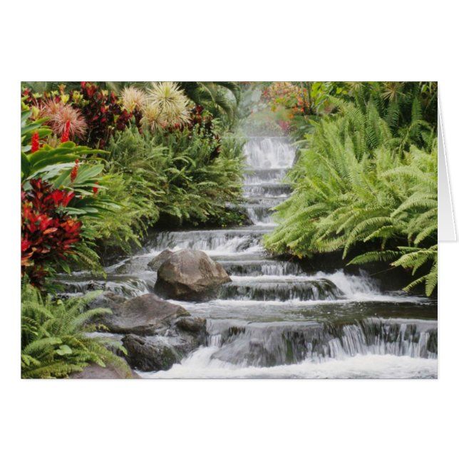 Cartão Cachoeira (Frente Horizontal)