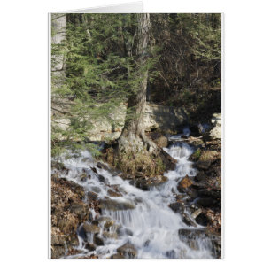 Cartão Cachoeira da montanha