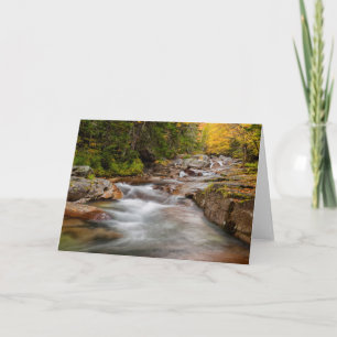 Cartão Cachoeira em Jefferson Brook, New Hampshire