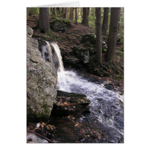 Cartão Cachoeira II