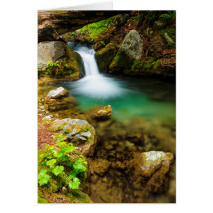 Cartão Cachoeira no Hare Creek, Califórnia
