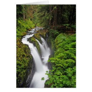 Cartão Cachoeira Sol Duc no Parque Nacional Olímpico em