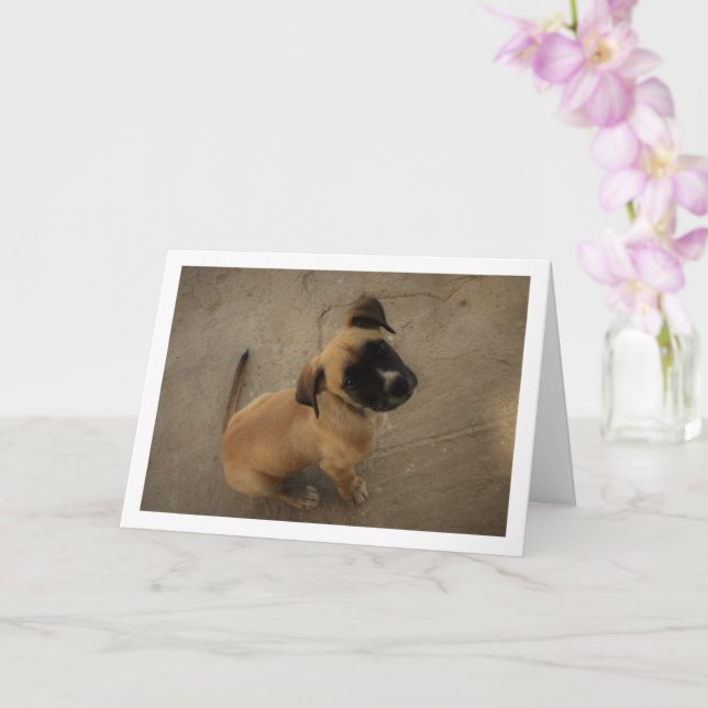 Cartão Cachorrinho Apaixonado (Orquídea)