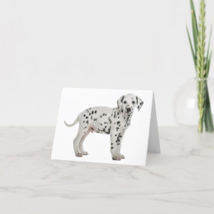 Cartão Cachorrinho Dalmata Olá Obrigado Amor, Desculpe