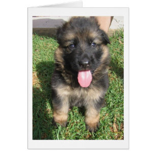 Cartão cachorrinho do german shepherd.png