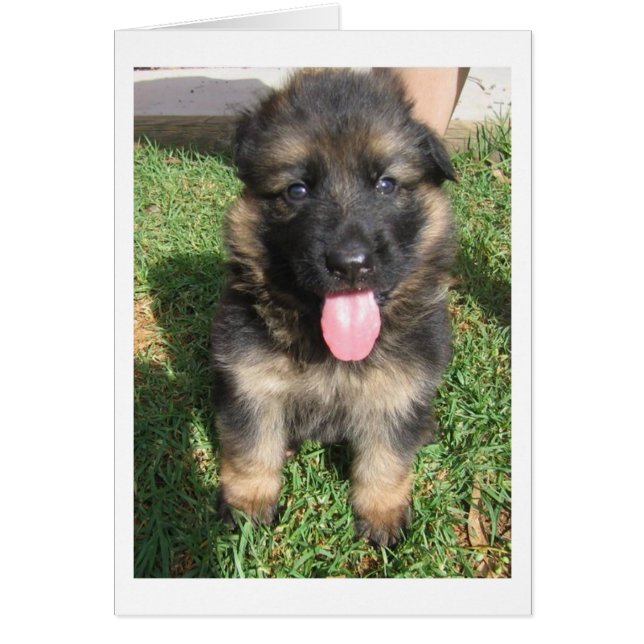 Cartão cachorrinho do german shepherd.png (Frente)