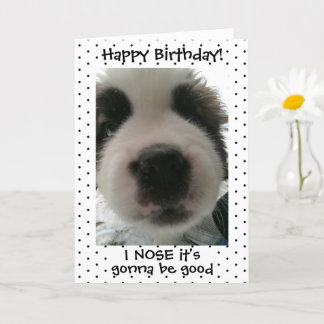 Cartão Cachorrinho Fofo Eu Adivinho que é seu Aniversário