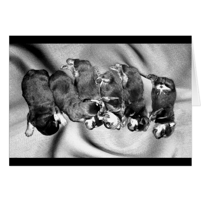 Cartão cachorrinhos-de-sono (Frente Horizontal)