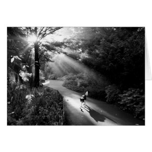 Cartão Cachorro à luz do sol da manhã