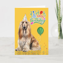 Cachorro Afghan Hound com um Chapéu de Festa em An