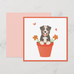 Cartão Cachorro Australiano Em Pote De Flor