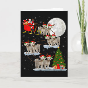 Cartão Cachorro Bichon Frise Papai Noel Trenó Voador Dive