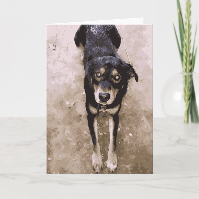 Cartão Cachorro Bonito E Cachorro Molhado Que Se Desce De (Frente)