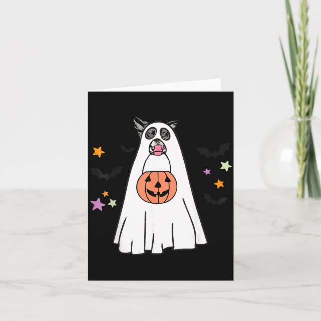 Cartão Cachorro Border Collie Preto E Branco Boo Hallowee (Frente)