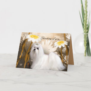 Cartão Cachorro Branco Flores "Pensando em você"