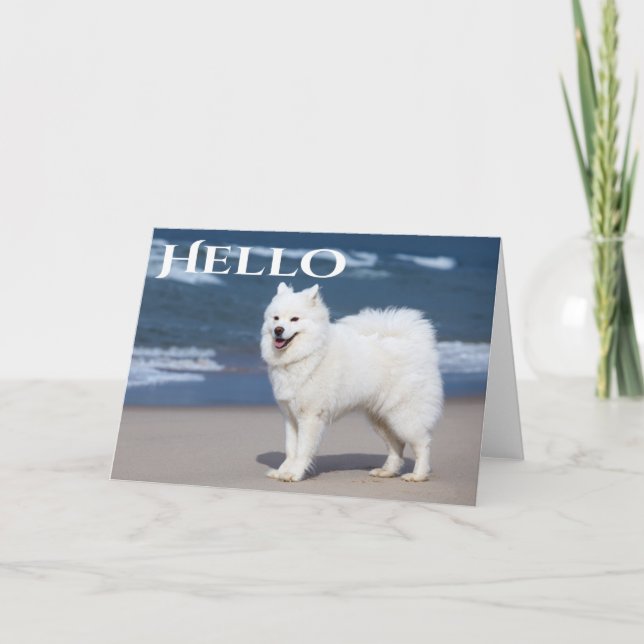 Cartão Cachorro Branco Samoyed - Olá, Pensando Em Ti (Frente)