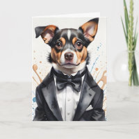 Cachorro Cachorro Cachorro Tuxedo Arco Preto