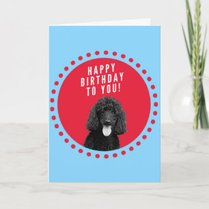 Cartão Cachorro Cachorro Feliz Aniversário Vermelho Circu